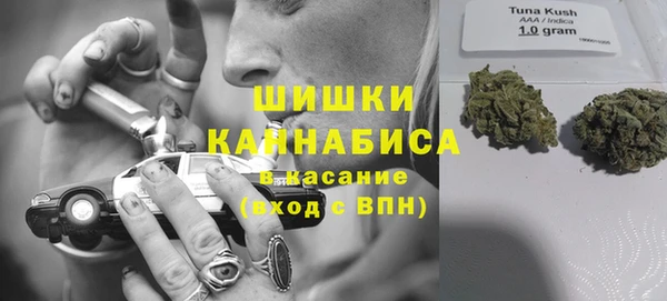 ешки Дмитровск