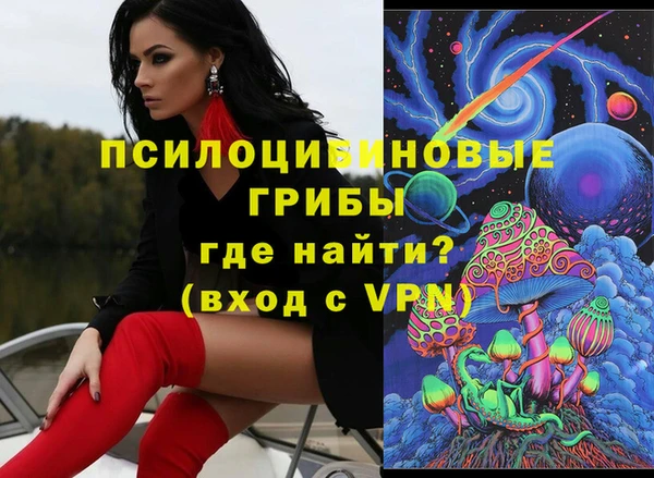 apvp Дмитров