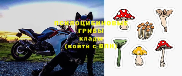 apvp Дмитров