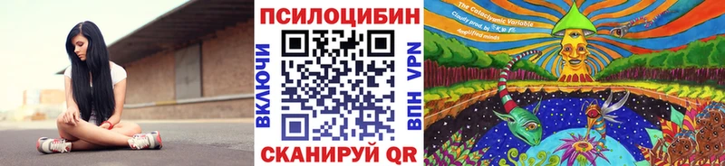 Купить где  Корсаков  Псилоцибиновые грибы прущие грибы 