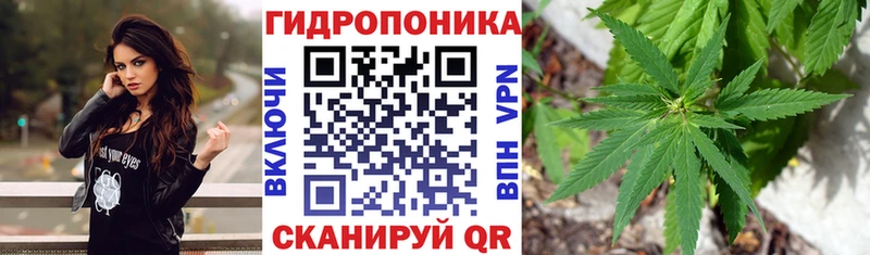 Бошки марихуана марихуана  Купить  Корсаков 